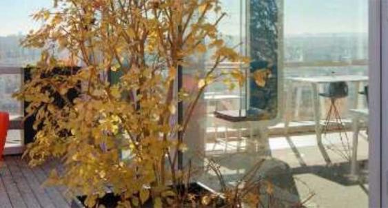 Une nouvelle pépinière d’entreprises au sein de l’immeuble Workstation